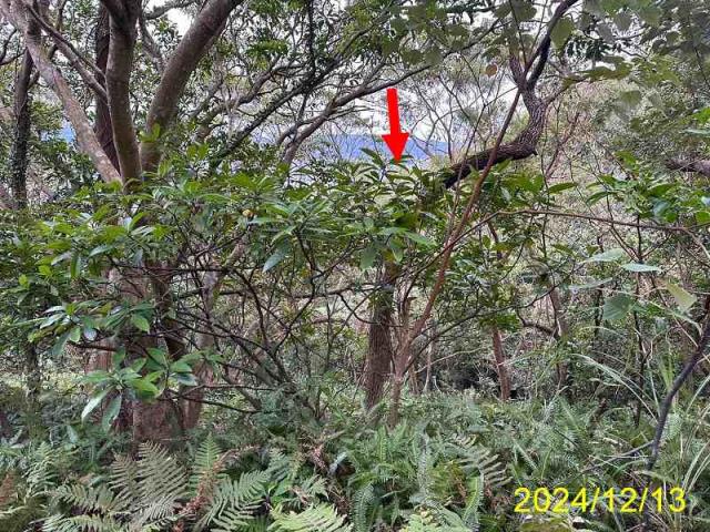 台北士林公寓拍賣-8