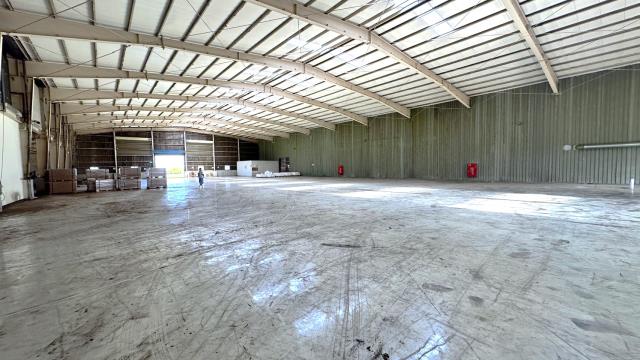 桃園新屋廠房-2