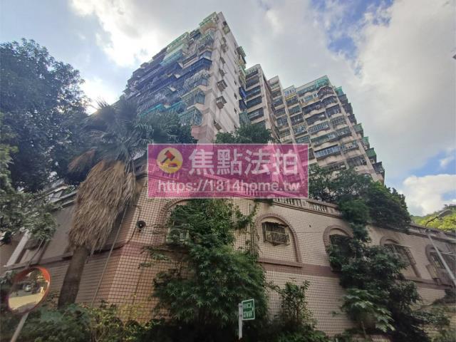 新北樹林法拍大樓-3