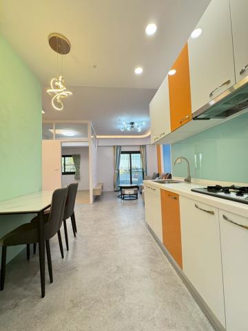 嘉義東區華廈-3