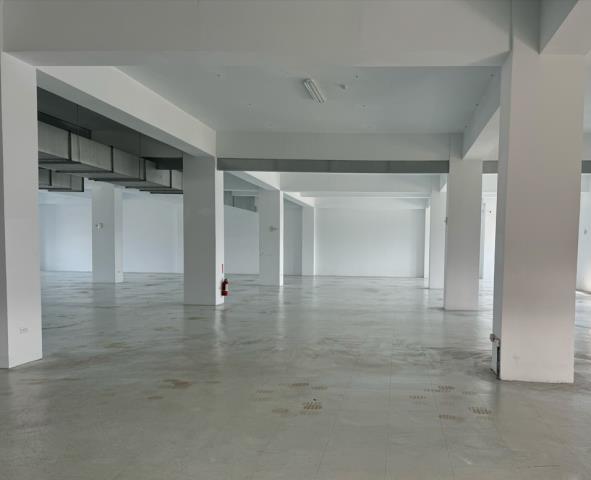 桃園龜山廠房-1