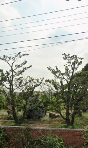 鹽水法拍農舍-11