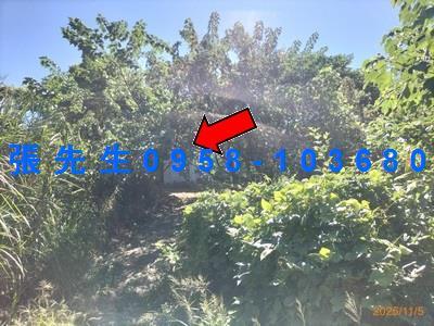 台中豐原法拍透天-5