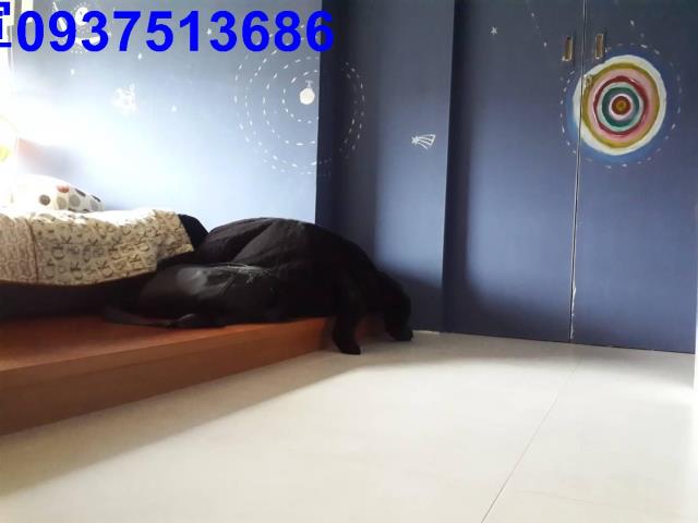 宜蘭礁溪大樓-4