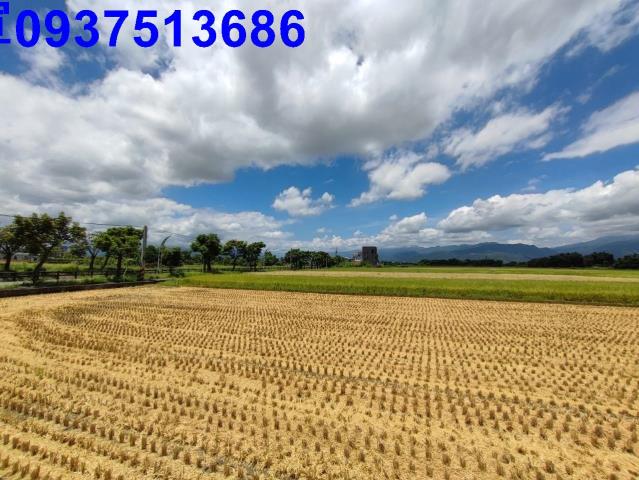 宜蘭農糧加工室-14