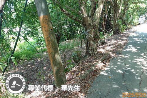 桃園區法拍華廈-9