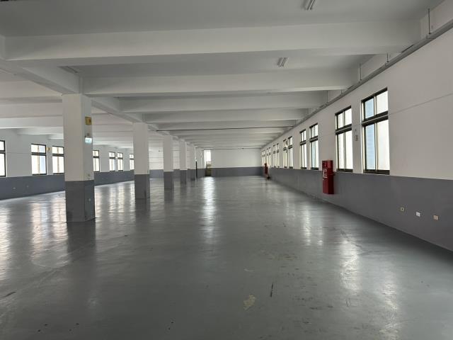 桃園龜山廠房-5