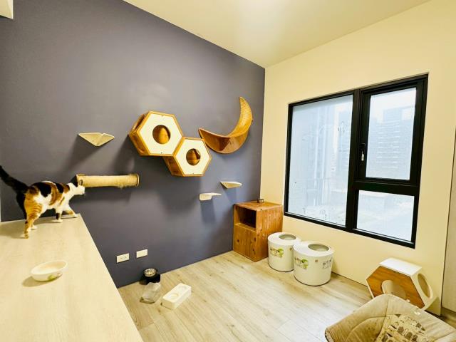 新竹北區大樓-6