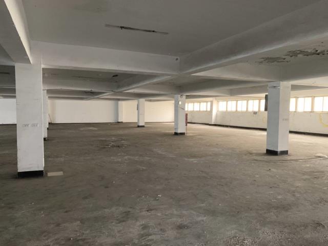 桃園觀音廠房-2