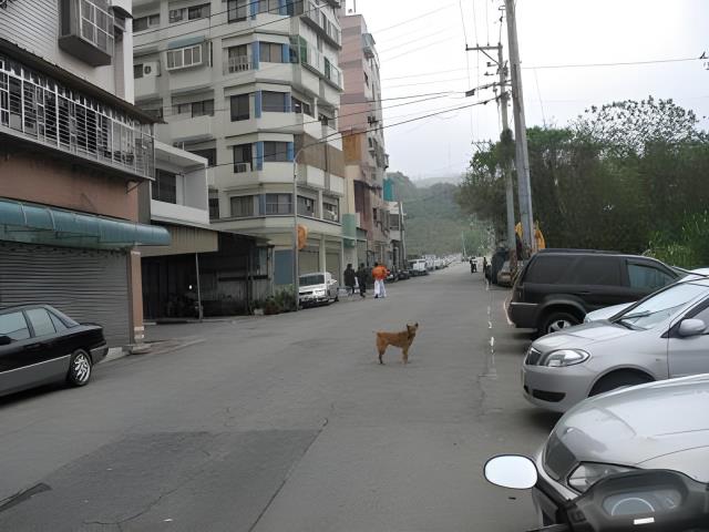 桃園桃園區法拍大樓-5