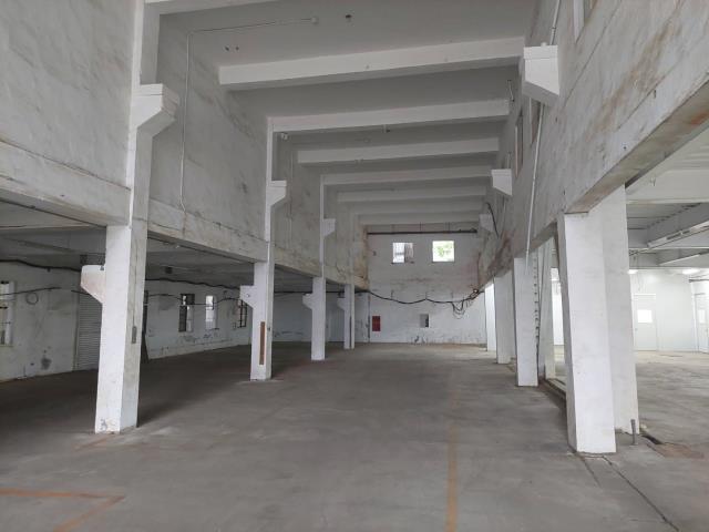 新北新莊廠房-3