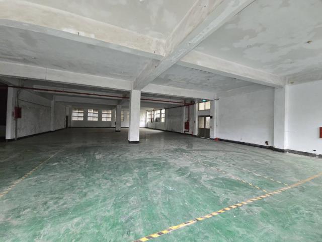 桃園中壢廠房-4