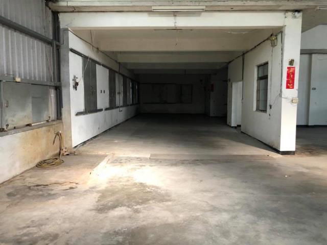 桃園新屋廠房-1