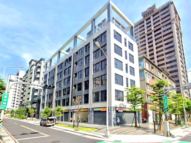 新北樹林拍賣華廈-3