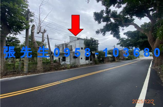 台東鹿野拍賣透天-4