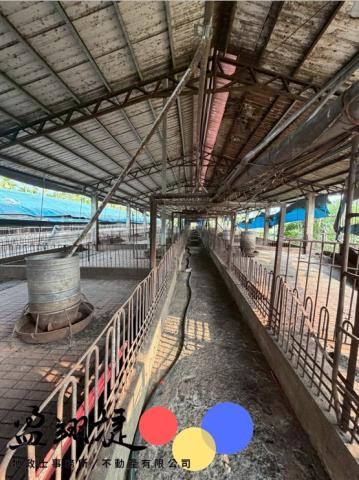 屏東竹田豬舍-2