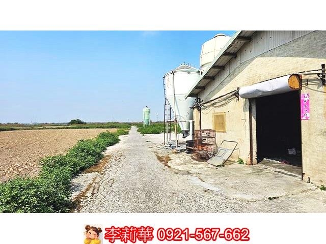 台南養雞場-1