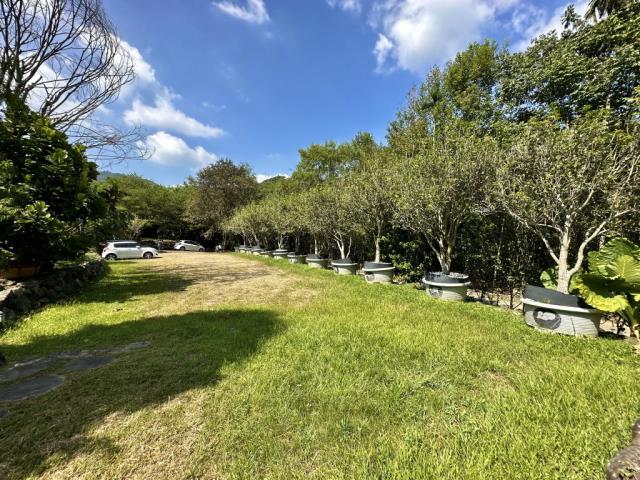 南投國姓透天-11