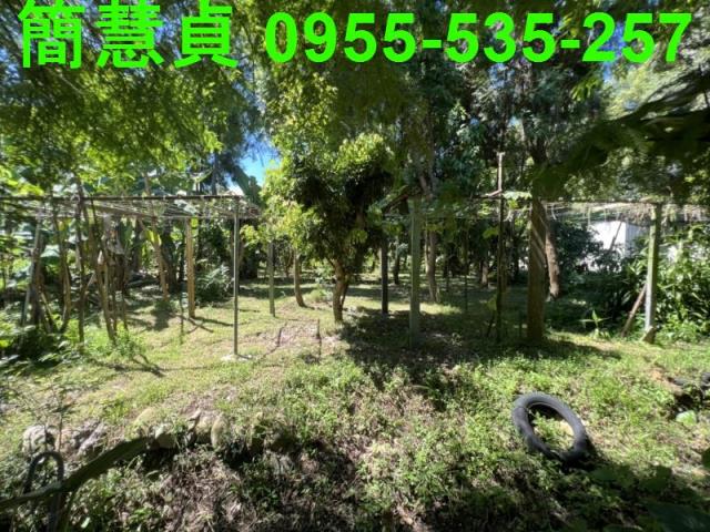 南投草屯農舍-7