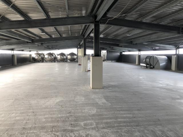 桃園桃園區廠房-3