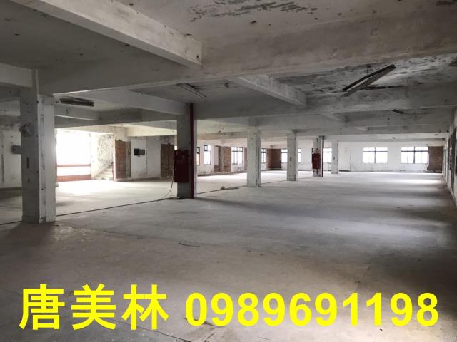 桃園平鎮廠房-2