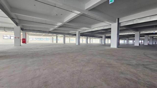 桃園新屋廠房-2