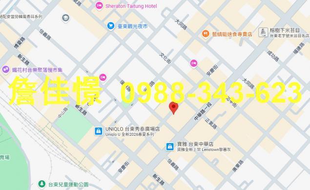 台東透天法拍-2
