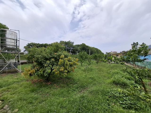 台中透天-9