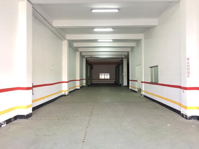 桃園廠房-3