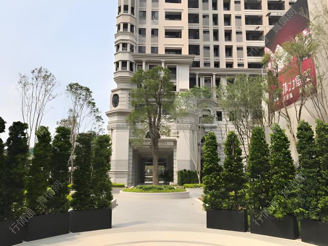 台中西屯大樓法拍-3