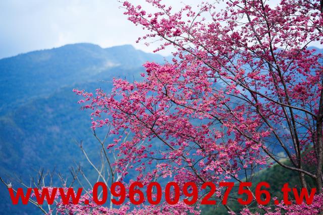 新竹休閒宅-4