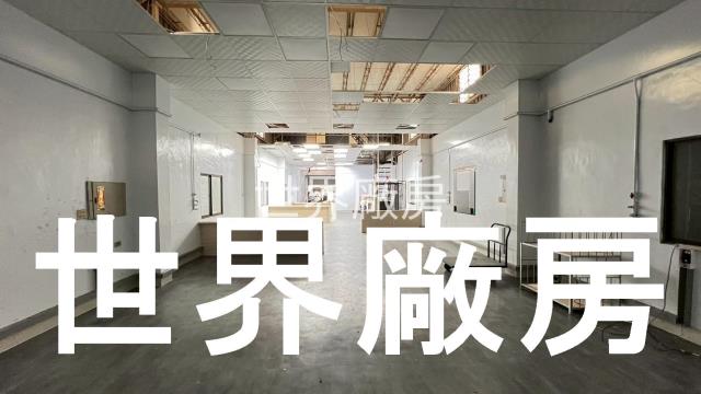 安南廠房-1