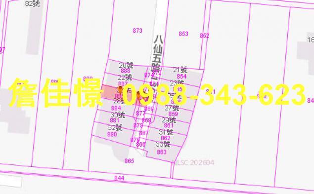 冬山法拍透天-3