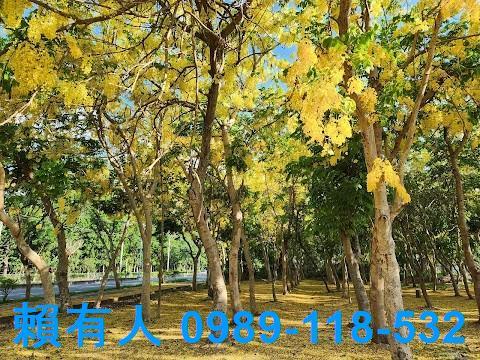 仁德大樓-2