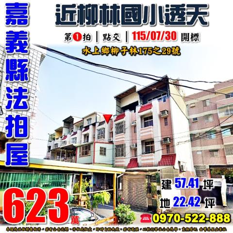 水上鄉柳子林透天