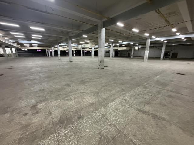 中壢廠房-1