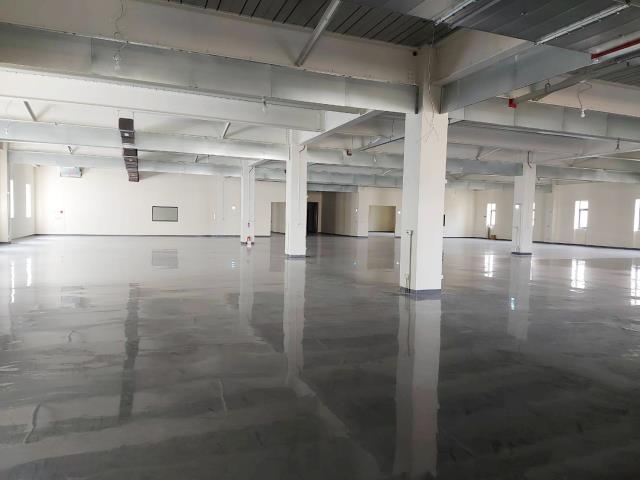 桃園八德廠房-1