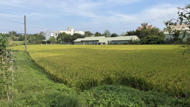 農地-2