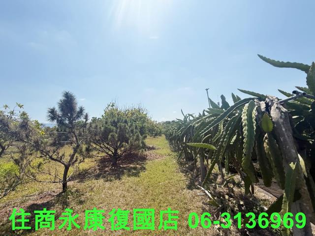 台南玉井農舍-11