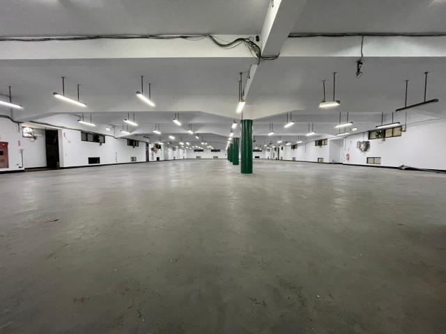 龍潭廠房-3