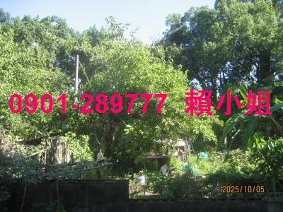 大里透天法拍-7