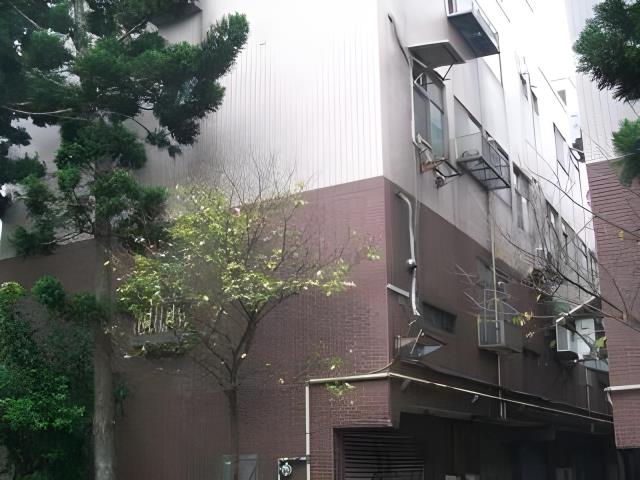 桃園透天法拍-5
