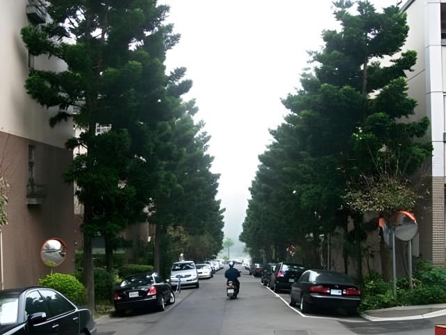 桃園透天法拍-6