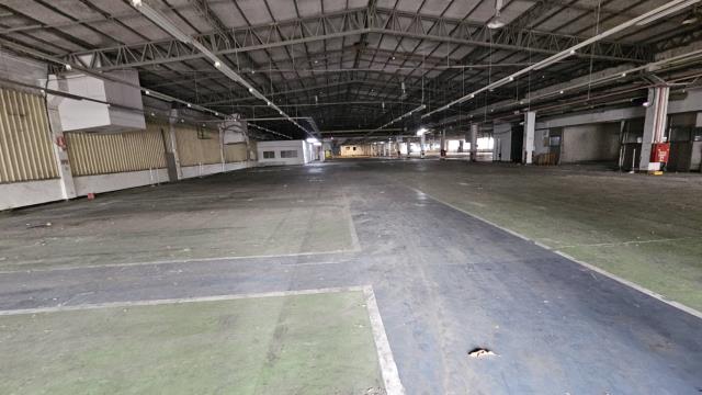 桃園中壢廠房-5