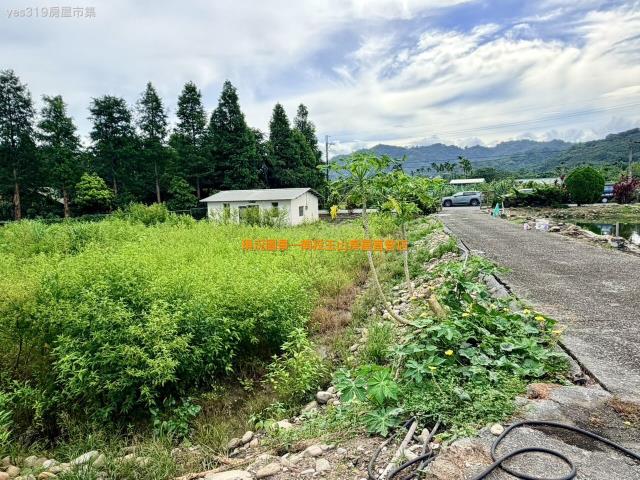 名間農舍-4