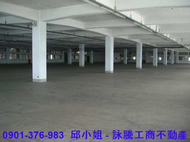 桃園大園廠房-2