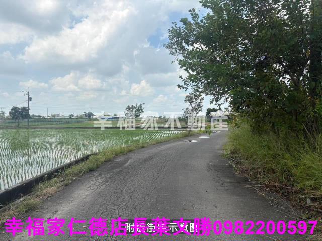 新營雞舍-4