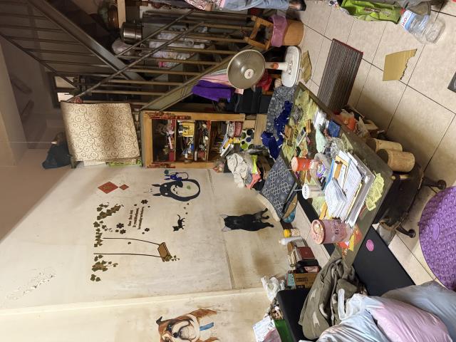 台中東勢透天-4