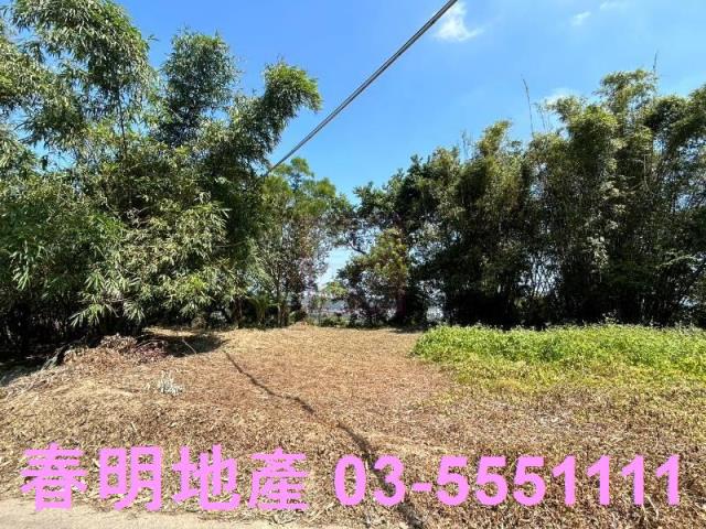 寶山華廈-10