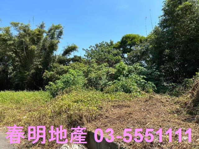寶山華廈-9